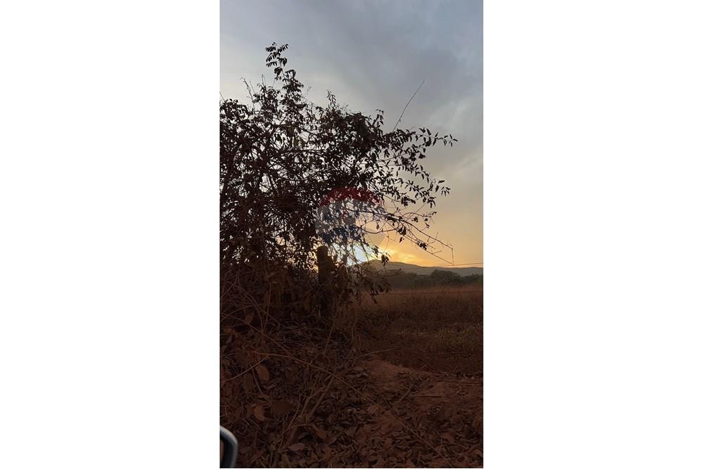 Chácara / Sítio / Fazenda - Venda - Paracatu , Minas Gerais - IMG_7835.JPG - 880351093-2