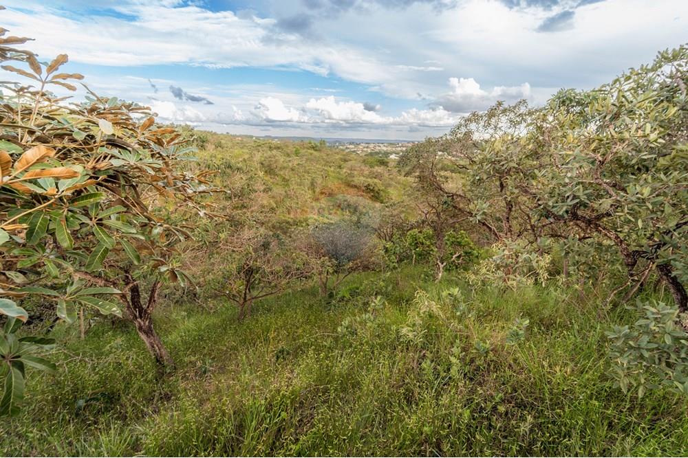 Terreno - Venda - Brasília , Distrito Federal - DSC03356-Aprimorado-NR.jpg - 880251001-39