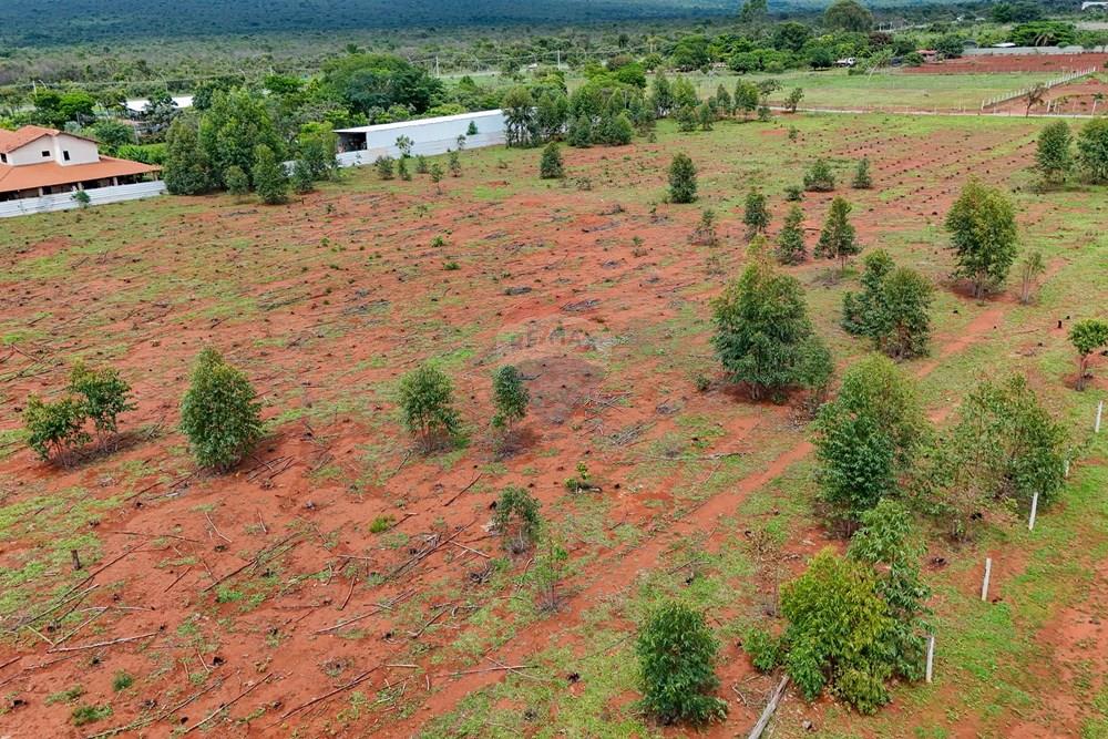 Chácara / Sítio / Fazenda - Venda - Sobradinho , Distrito Federal - DJI_20251219101622_0013_D_MINI4.jpg - 880111107-7