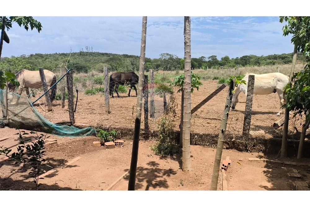 Chácara / Sítio / Fazenda - Venda - Cocalzinho de Goiás , Goiás - WhatsApp Image 2025-10-28 at 09.45.07.jpeg - 880341129-15