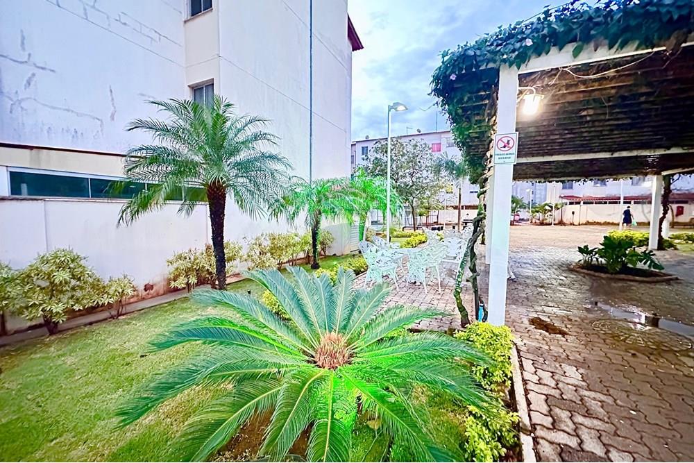 Apartamento - Venda - Santa Maria , Distrito Federal - IMG_5584.jpeg - 880341045-76