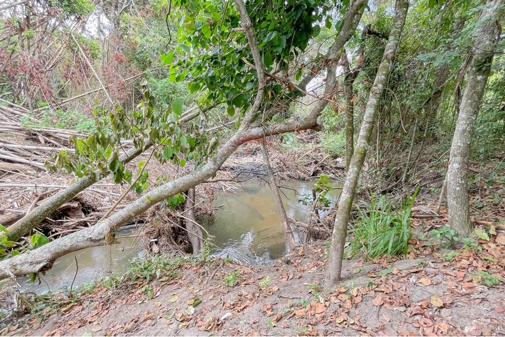 Chácara / Sítio / Fazenda - Venda - Riacho Fundo , Distrito Federal - IMG_1978.jpg - 880161051-22