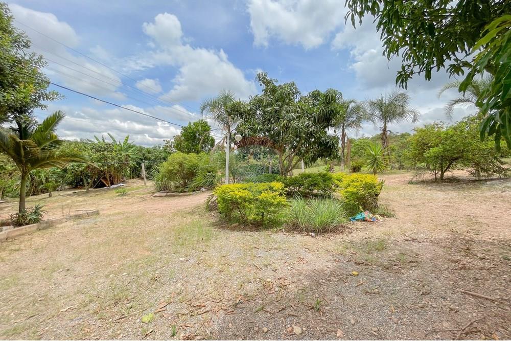 Chácara / Sítio / Fazenda - Venda - Riacho Fundo , Distrito Federal - IMG_1993.jpg - 880161051-22