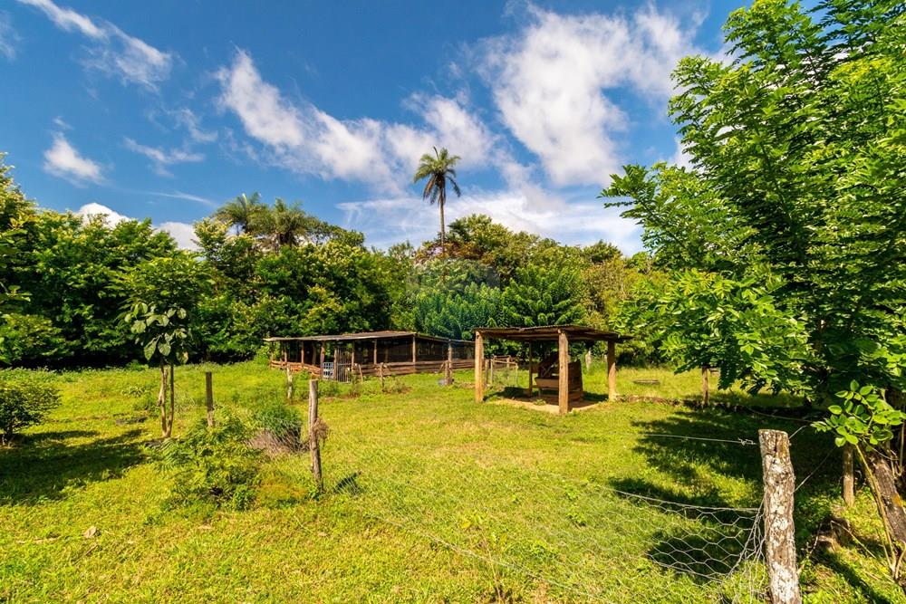 Chácara / Sítio / Fazenda - Venda - Planaltina , Distrito Federal - DSC_6628.jpg - 880341026-72