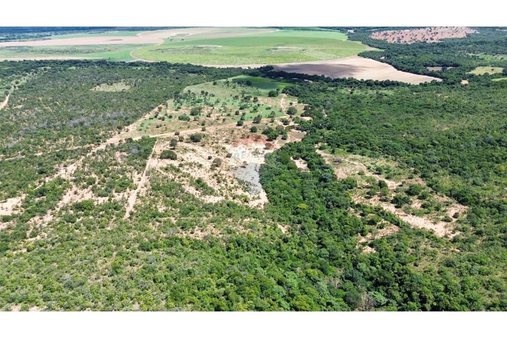 Chácara / Sítio / Fazenda - Venda - Arinos , Minas Gerais - 1000034700.jpg - 880231174-6