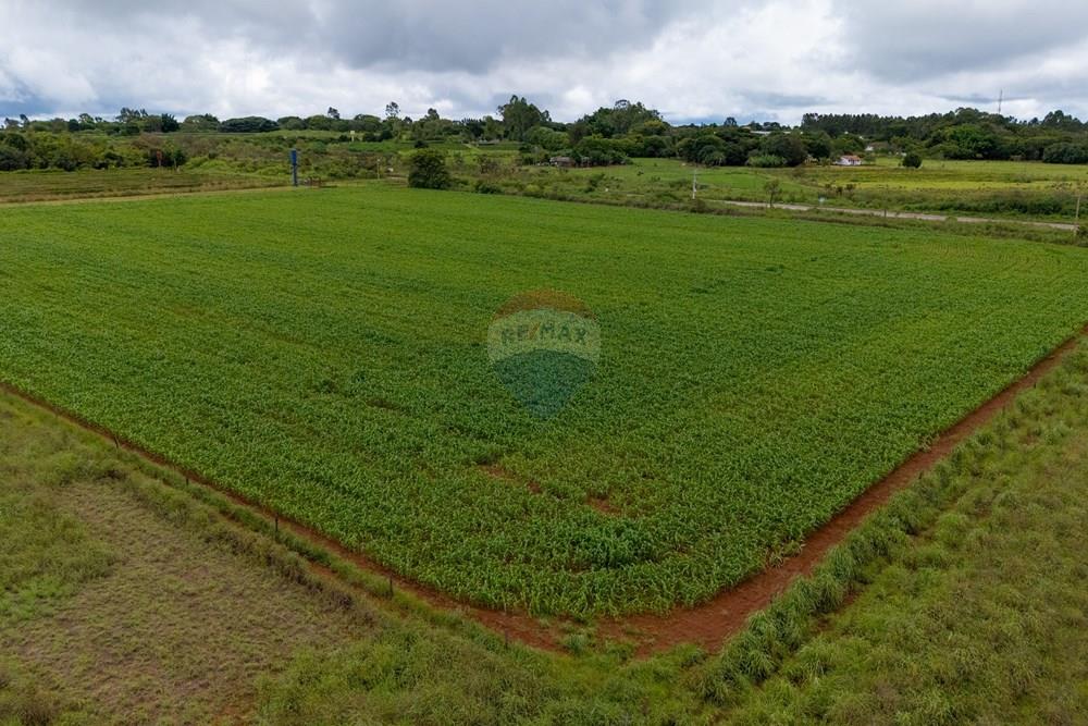 Chácara / Sítio / Fazenda - Venda - Sobradinho II , Distrito Federal - DJI_20260306105625_0071_D_MINI4.jpg - 880111107-15