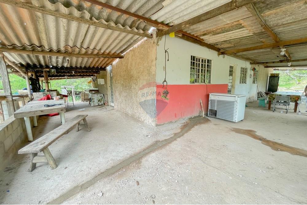 Chácara / Sítio / Fazenda - Venda - Riacho Fundo , Distrito Federal - IMG_1989.jpg - 880161051-22