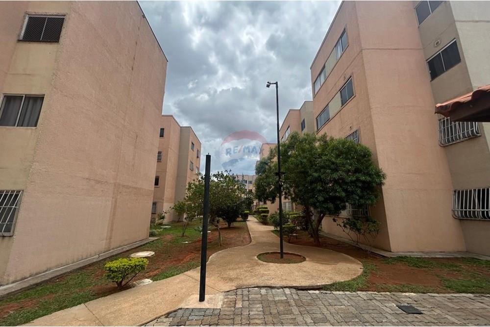 Apartamento - Venda - Riacho Fundo , Distrito Federal - IMG-20251203-WA0260.jpg - 880421001-76