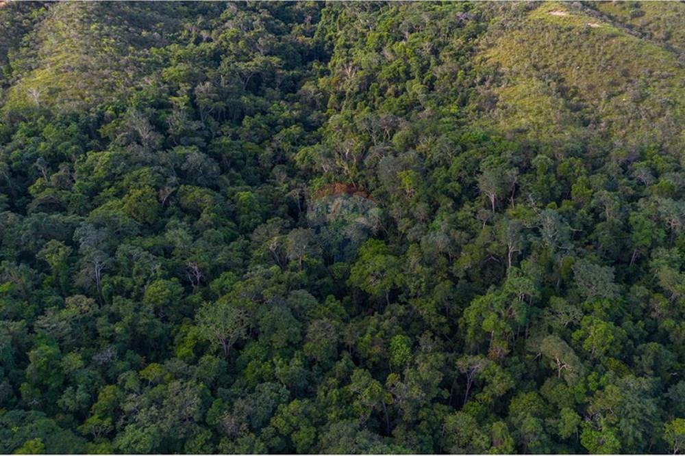 Terreno - Venda - Brasília , Distrito Federal - DJI_0116-Aprimorado-NR.jpg - 880251001-39