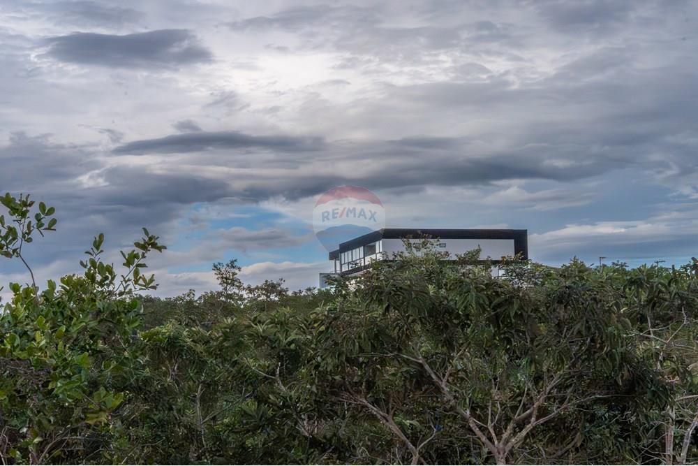 Terreno - Venda - Brasília , Distrito Federal - DSC03369-Aprimorado-NR.jpg - 880251001-39