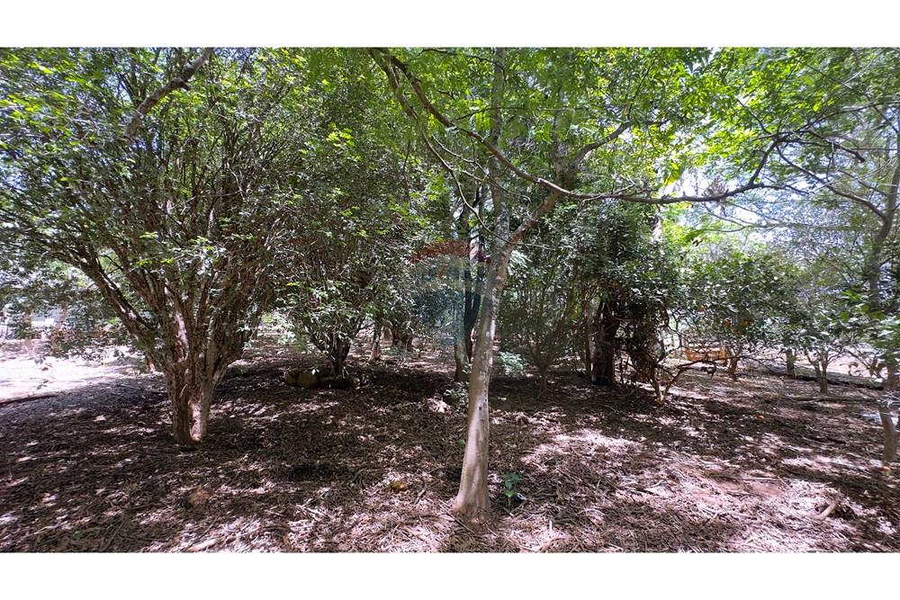 Chácara / Sítio / Fazenda - Venda - Cocalzinho de Goiás , Goiás - IMG_3375.jpg - 880341129-15