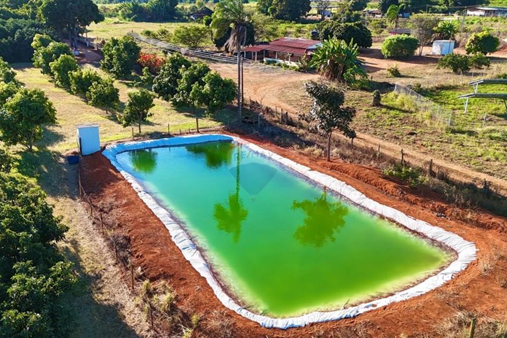 Chácara / Sítio / Fazenda - Venda - Brazlandia , Distrito Federal - dji_fly_20250704_162050_0060_1751722623219_photo.jpg - 880351001-200