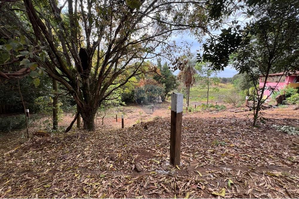 Terreno - Venda - Brasília , Distrito Federal - IMG-20251024-WA0705.jpg - 880351015-28