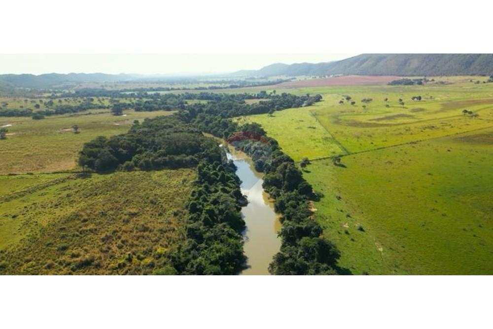 Chácara / Sítio / Fazenda - Venda - Unaí , Minas Gerais - WhatsApp Image 2025-02-26 at 08.09.36.jpeg - Jardim Externo - 880261133-87