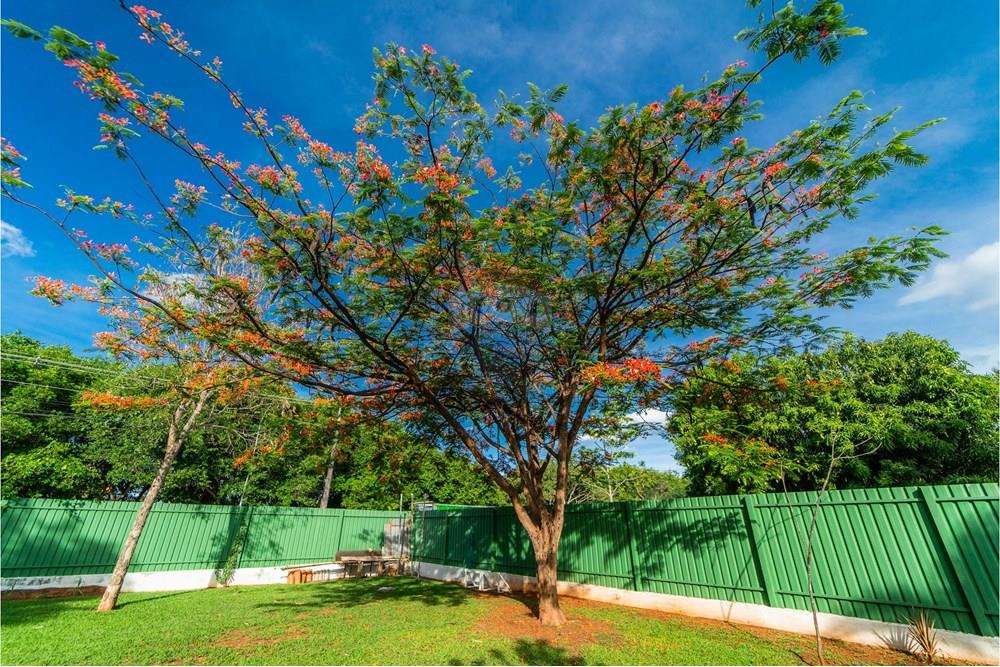 Casa - Venda - Brasília , Distrito Federal - _DSC1248.jpg - 880221014-125