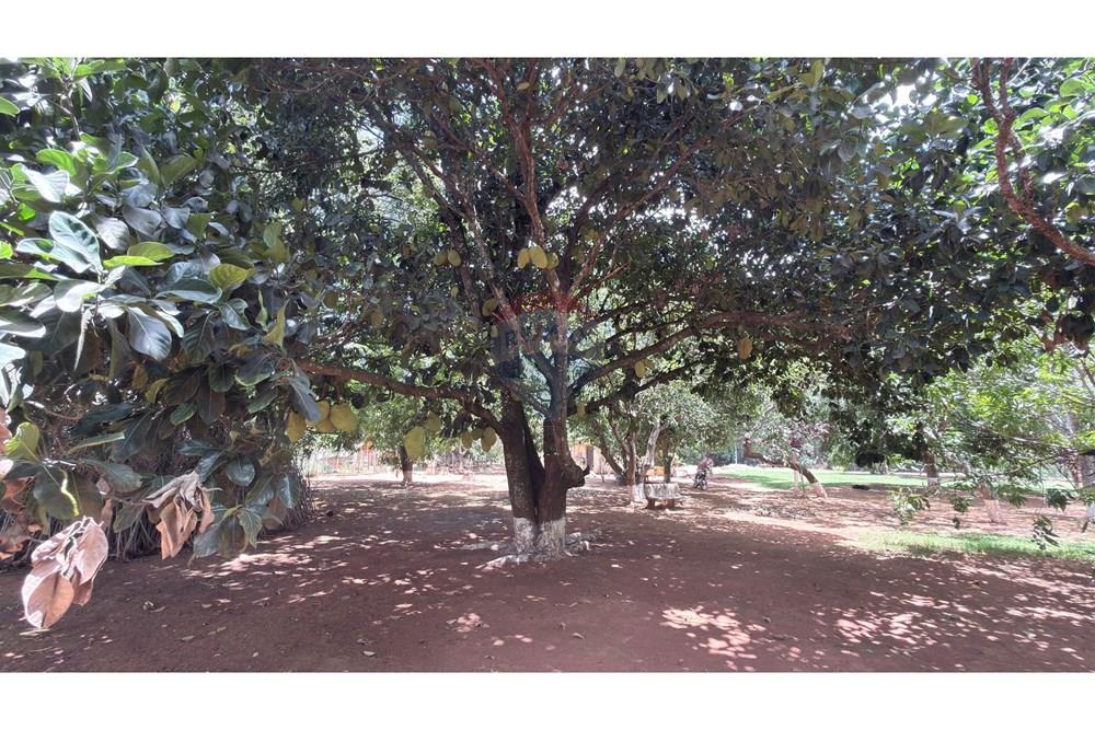 Chácara / Sítio / Fazenda - Venda - Paranoa , Distrito Federal - IMG_1186.jpg - 880341141-3