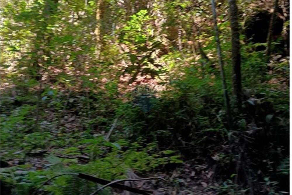 Chácara / Sítio / Fazenda - Venda - Luziânia , Goiás - Imagem do WhatsApp de 2025-06-26 à(s) 23.13.25_cb2c73be.jpg - 880231017-81