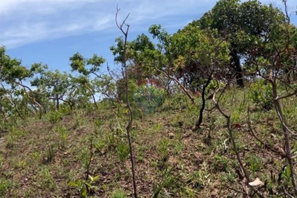 Chácara / Sítio / Fazenda - Venda - Luziânia , Goiás - WhatsApp Image 2025-12-01 at 15.21.25 (1).jpeg - 880111117-10