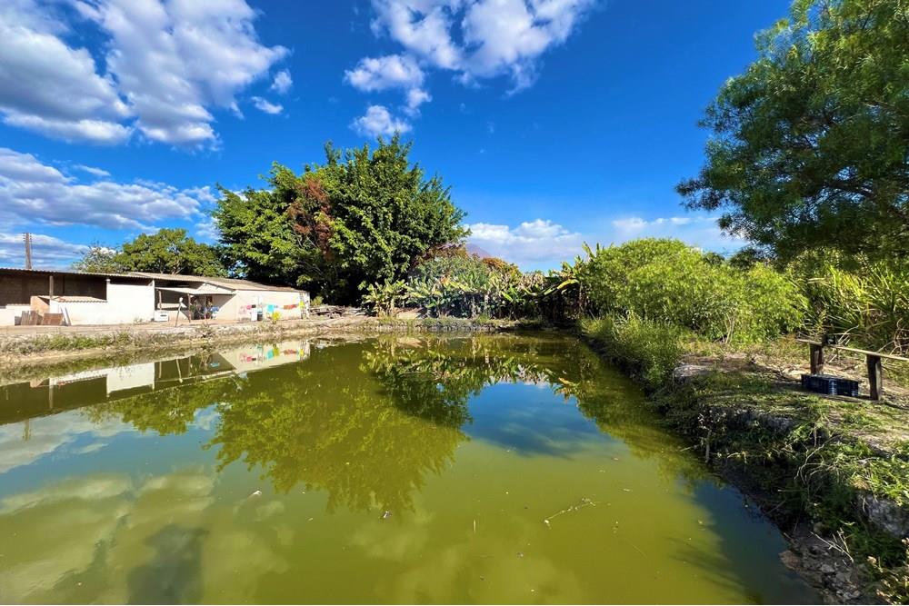 Chácara / Sítio / Fazenda - Venda - Brazlandia , Distrito Federal - IMG_7062.JPG - 880351001-191