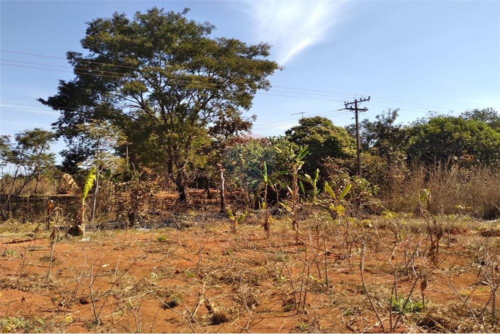 Chácara / Sítio / Fazenda - Venda - Gama , Distrito Federal - 20 - 880321005-55