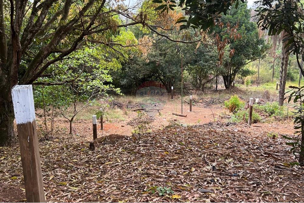 Terreno - Venda - Brasília , Distrito Federal - IMG-20251024-WA0714.jpg - 880351015-28