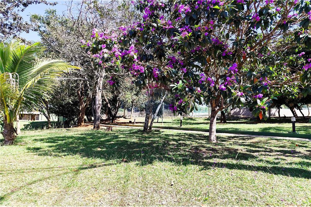 Terreno - Venda - Brasília , Distrito Federal - 1 - 880341024-127