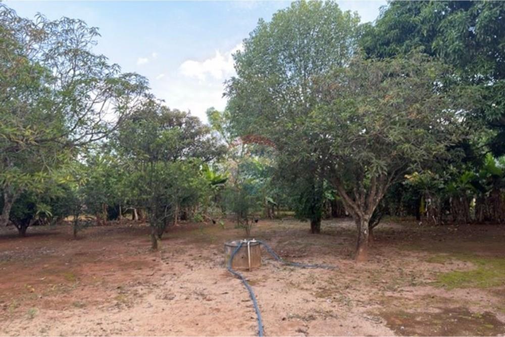 Chácara / Sítio / Fazenda - Venda - Gama , Distrito Federal - IMG_0668.JPG - 880241072-5