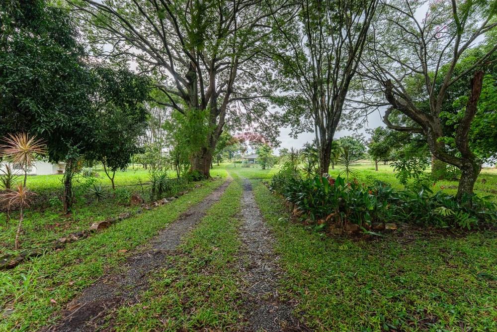 Chácara / Sítio / Fazenda - Venda - Sobradinho , Distrito Federal - DSC07408.jpg - 880221014-155