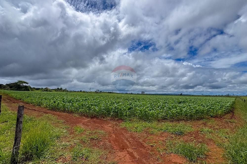 Chácara / Sítio / Fazenda - Venda - Sobradinho II , Distrito Federal - IMG_2651.jpg - 880111107-15