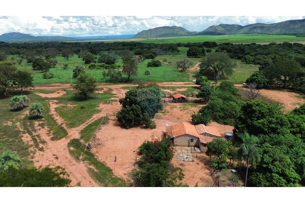 Chácara / Sítio / Fazenda - Venda - Arinos , Minas Gerais - 1000034790.jpg - 880231174-6