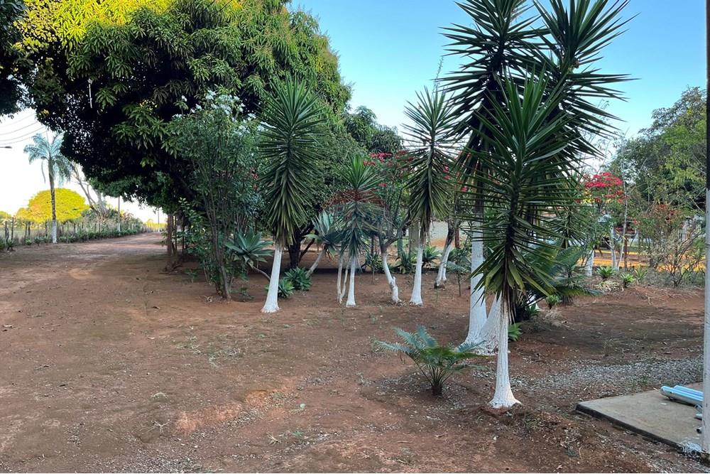 Chácara / Sítio / Fazenda - Venda - Brazlandia , Distrito Federal - IMG_4159.jpg - 880351001-200