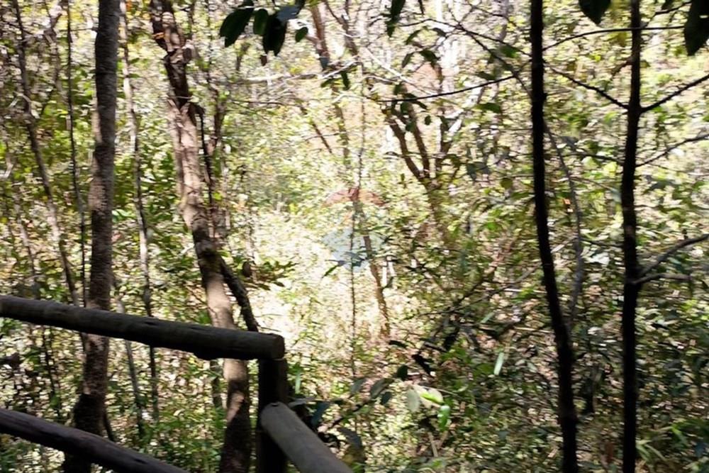 Chácara / Sítio / Fazenda - Venda - Luziânia , Goiás - Imagem do WhatsApp de 2025-06-26 à(s) 23.13.21_ed88b687.jpg - 880231017-81