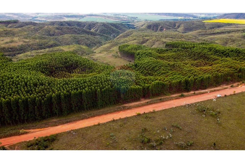 Chácara / Sítio / Fazenda - Venda - Água Fria de Goiás , Goiás - IMG-20250526-WA0147.jpg - 880231017-84