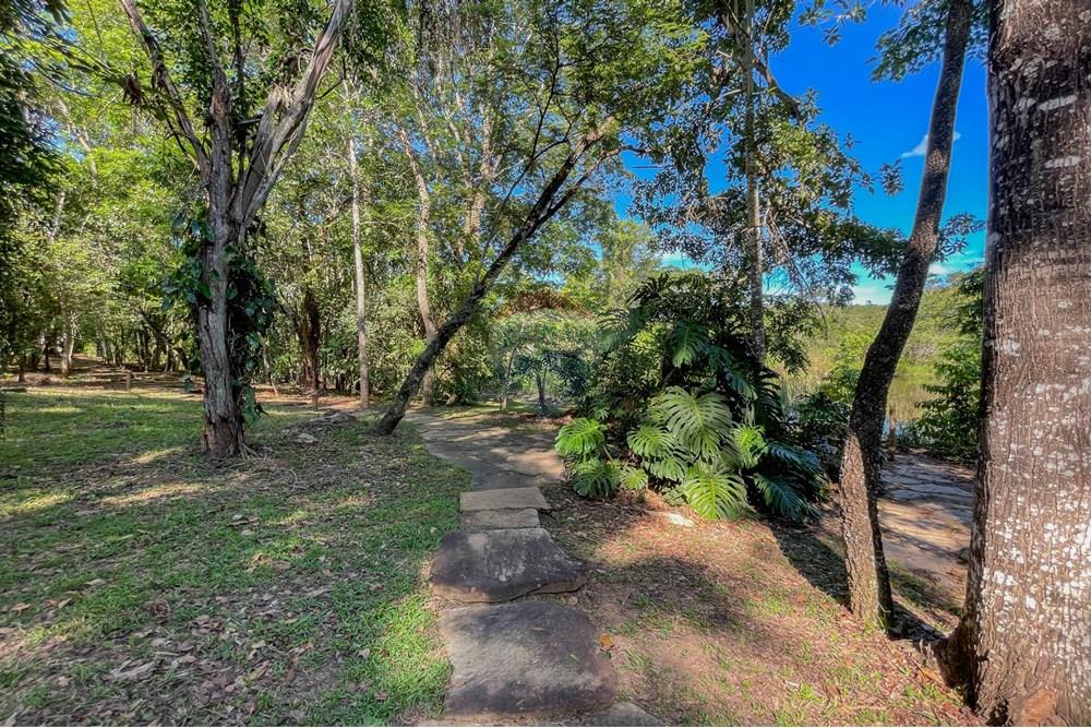 Terreno - Venda - Brasília , Distrito Federal - IMG_2536.jpg - 880161042-40