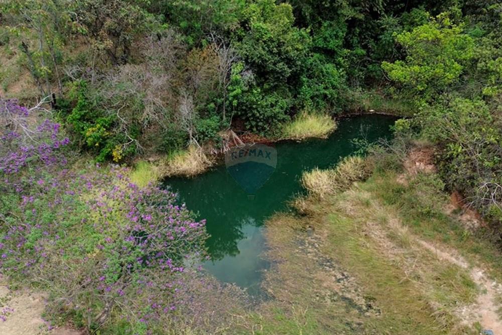 Chácara / Sítio / Fazenda - Venda - Gama , Distrito Federal - Captura de Tela (9890) copiar.jpg - 880161051-13