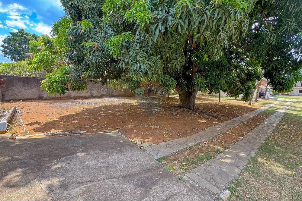 Casa - Venda - Ceilandia , Distrito Federal - IMG_8913.jpg - Quintal - 880231186-13