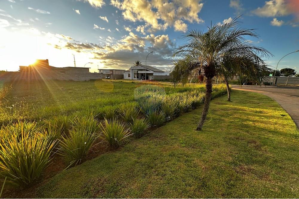 Terreno - Venda - Brasília , Distrito Federal - WhatsApp Image 2025-05-12 at 07.06.39.jpeg - 880321003-427