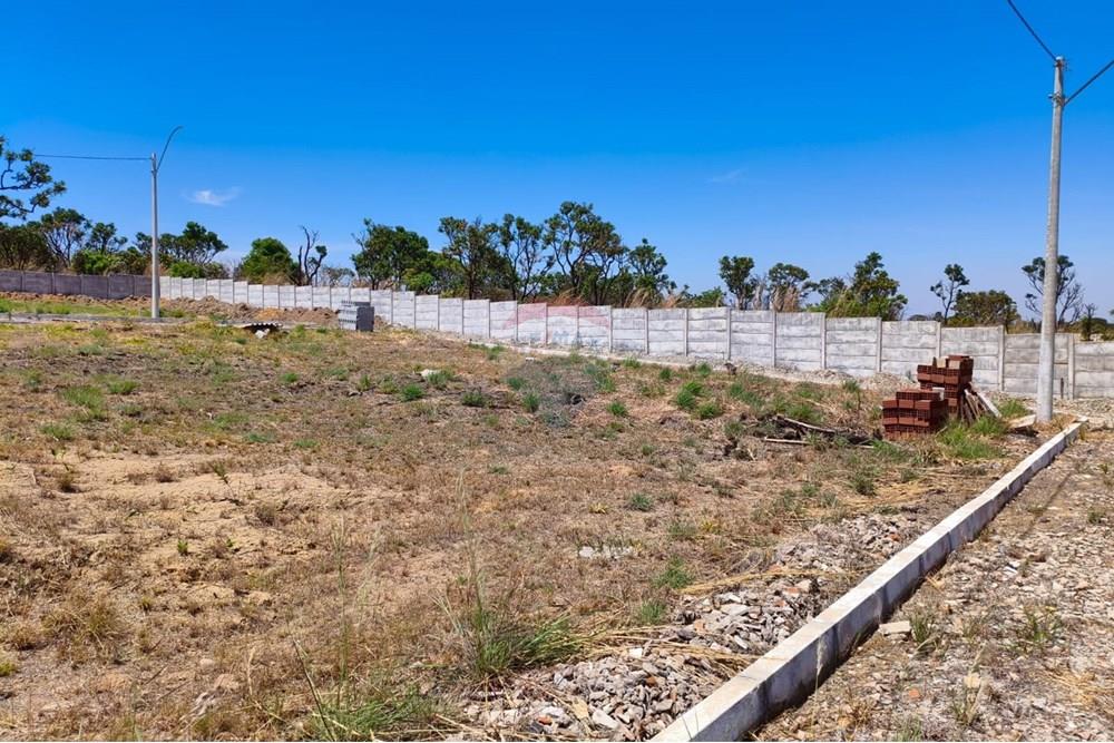 Terreno - Venda - Gama , Distrito Federal - WhatsApp Image 2025-12-04 at 10.58.53.jpeg - 880231178-4