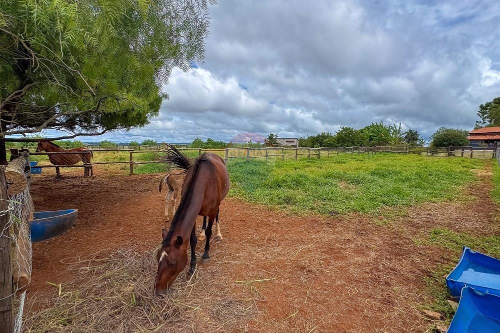Chácara / Sítio / Fazenda - Venda - Sobradinho II , Distrito Federal - IMG_2674.jpg - 880111107-15