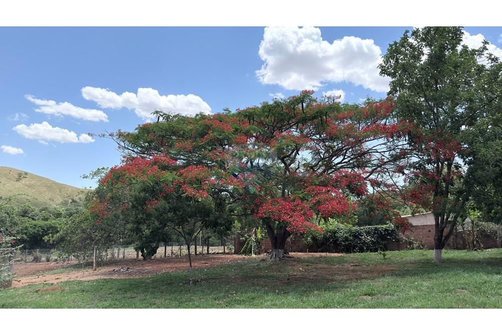 Chácara / Sítio / Fazenda - Venda - Paranoa , Distrito Federal - IMG_1194.jpg - 880341141-3