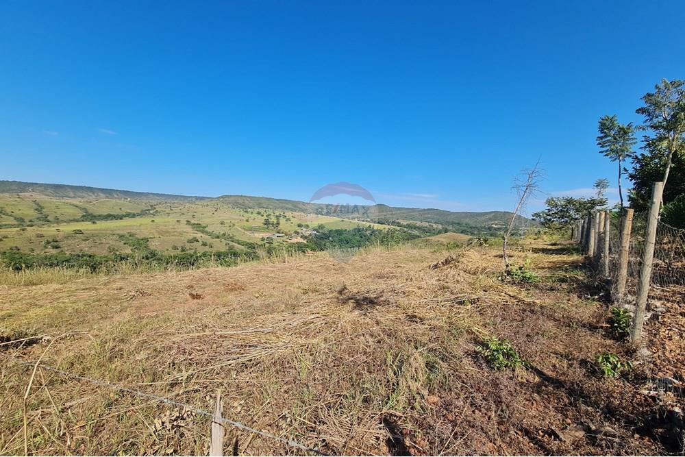 Chácara / Sítio / Fazenda - Venda - Brasília , Distrito Federal - 20250524_101024.jpg - 880321021-70