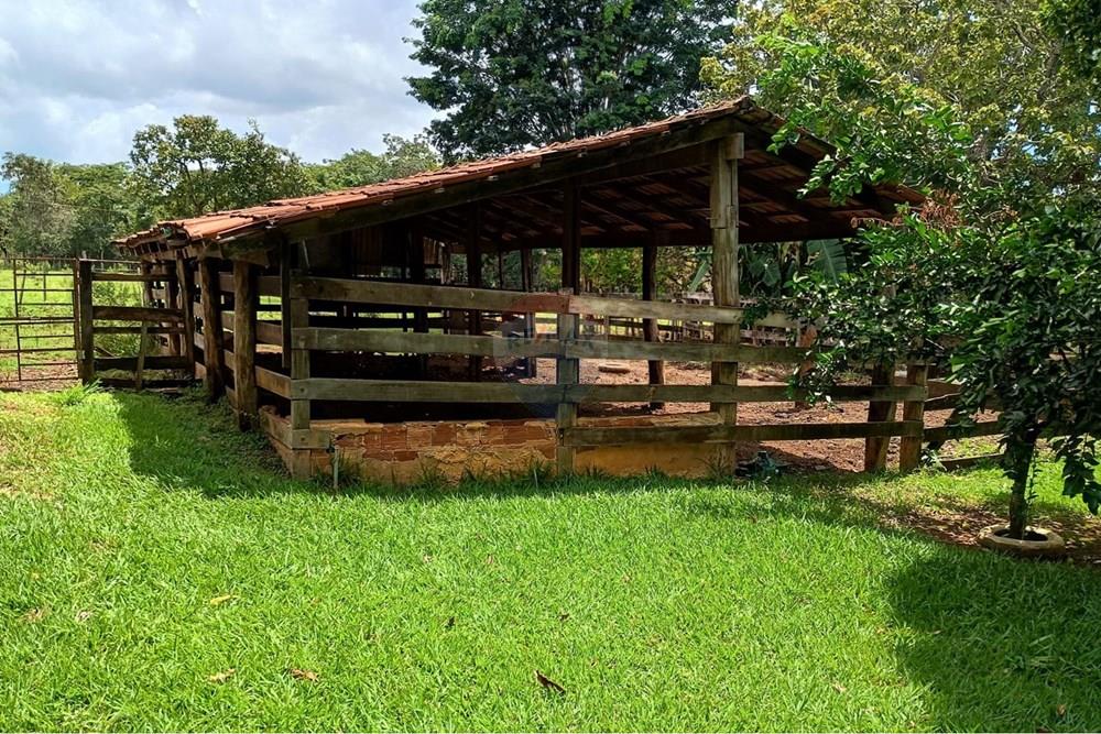 Chácara / Sítio / Fazenda - Venda - Planaltina , Distrito Federal - WhatsApp Image 2026-01-25 at 12.07.25 (1).jpeg - 880221003-55