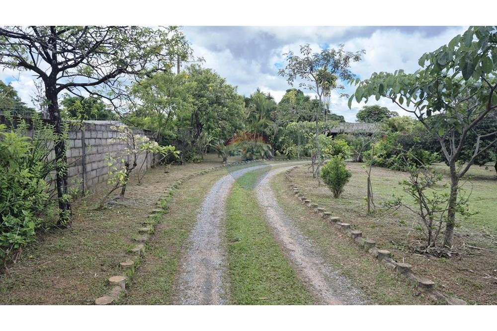 Chácara / Sítio / Fazenda - Venda - Sobradinho , Distrito Federal - WhatsApp Image 2026-03-23 at 15.10.19.jpeg - 880431021-2