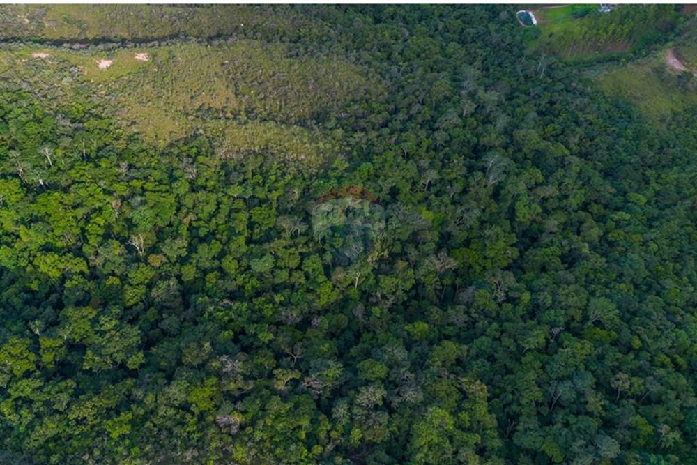 Terreno - Venda - Brasília , Distrito Federal - DJI_0113-Aprimorado-NR.jpg - 880251001-39