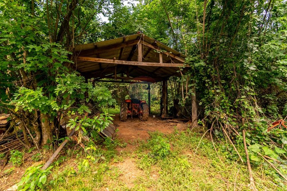 Chácara / Sítio / Fazenda - Venda - Planaltina , Distrito Federal - DSC_6638.jpg - 880341026-72