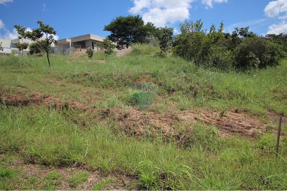 Terreno - Venda - Brasília , Distrito Federal - Interior do terreno 5.JPG - 880151004-198