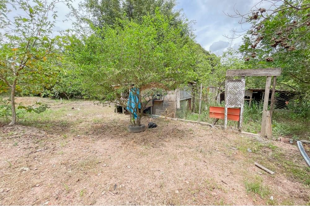 Chácara / Sítio / Fazenda - Venda - Riacho Fundo , Distrito Federal - IMG_1985.jpg - 880161051-22