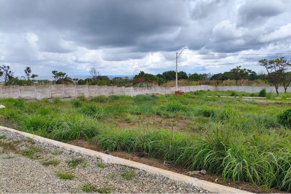 Terreno - Venda - Gama , Distrito Federal - WhatsApp Image 2025-12-30 at 16.14.26 (1).jpeg - 880231178-4