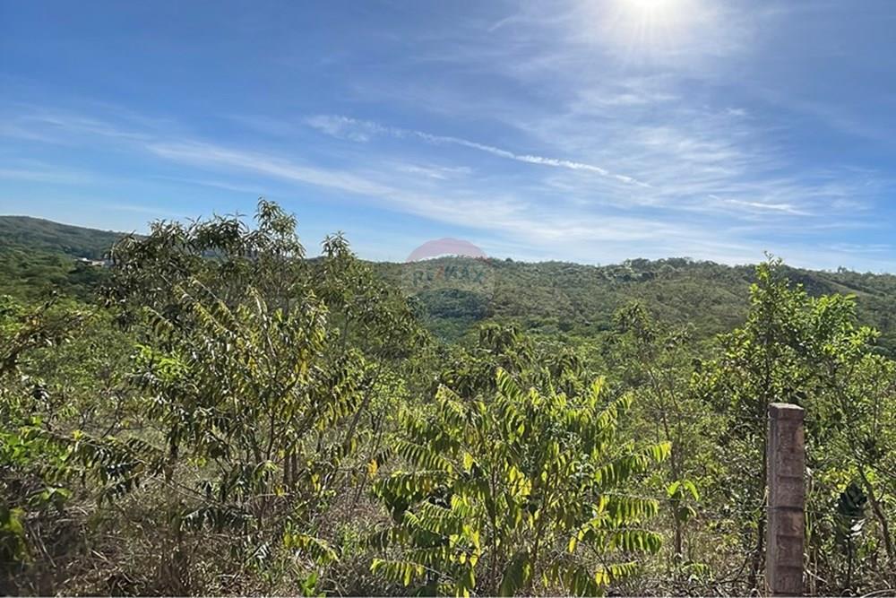 Chácara / Sítio / Fazenda - Venda - Brasília , Distrito Federal - IMG_9084.JPG - 880461009-47