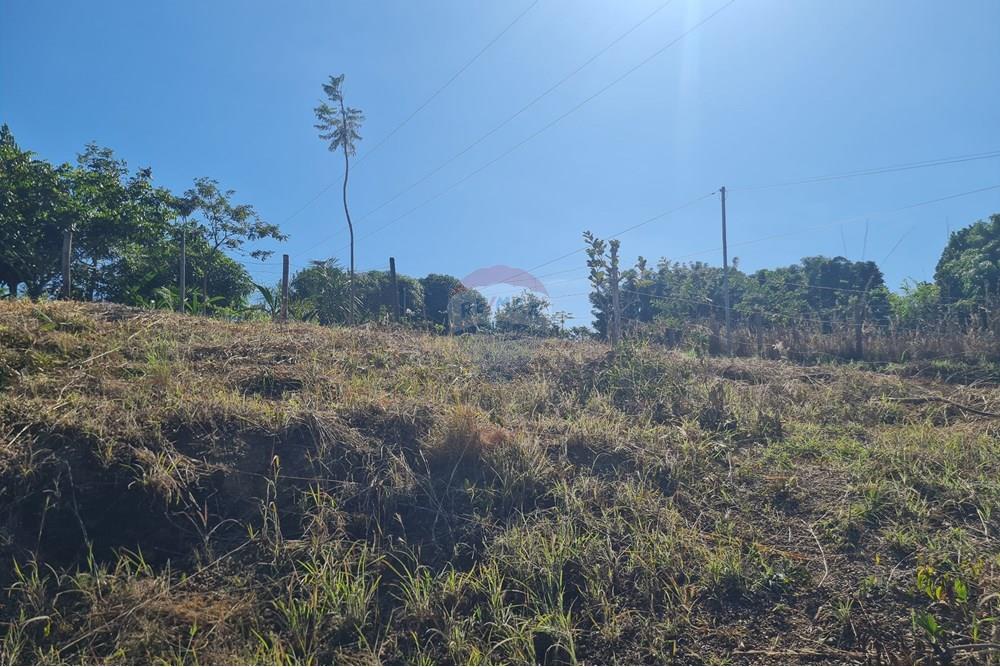 Chácara / Sítio / Fazenda - Venda - Brasília , Distrito Federal - 20250524_095610.jpg - 880321021-70